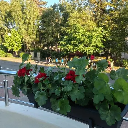 Apartamento Pomalenku *